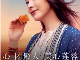 香港美心传统月饼 更具有节日情怀 河南美心月饼总代理